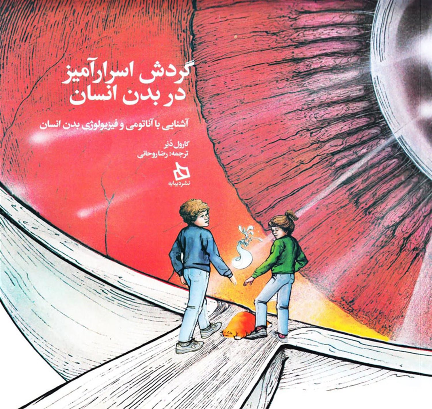 گردش اسرار آمیز در بدن انسان 