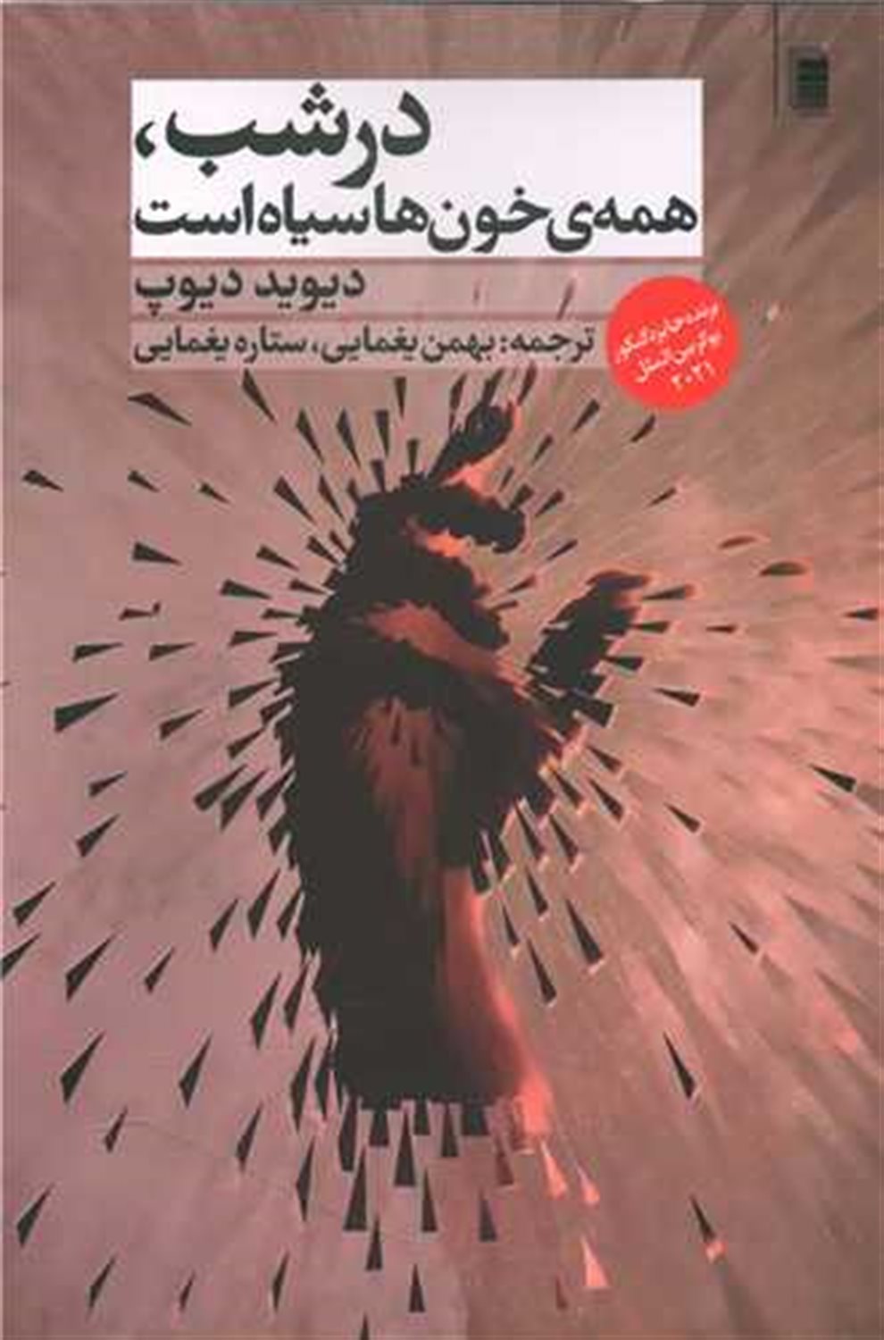 در شب ،همه ی خون ها سیاه است