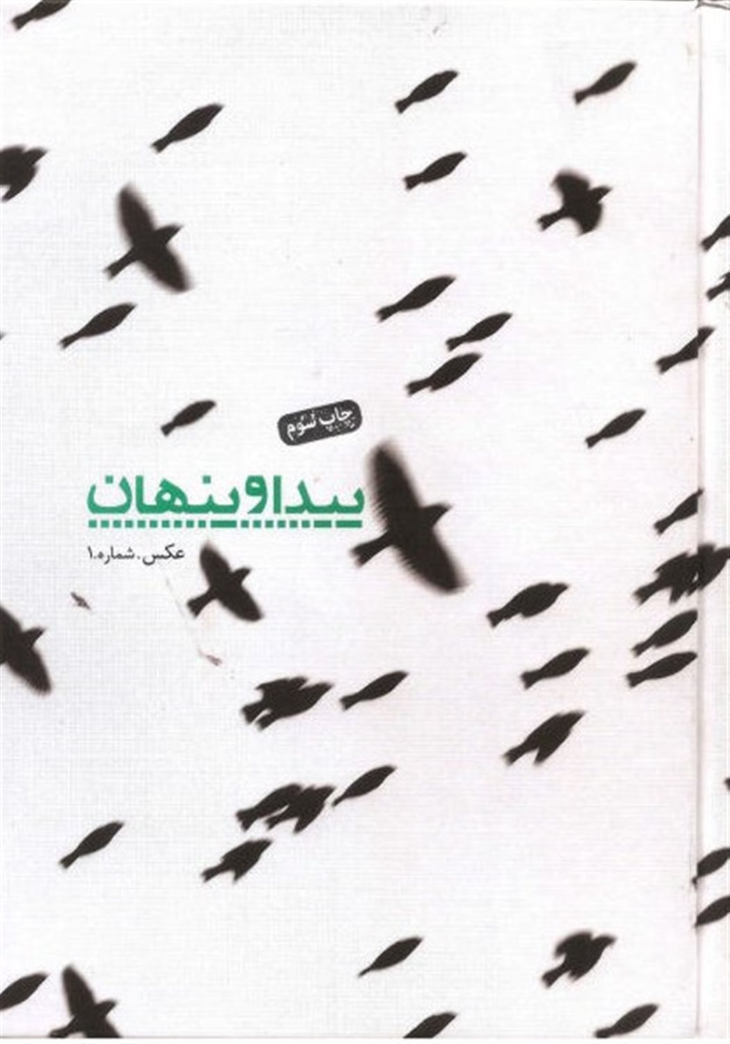 پیدا و پنهان: عکس. شماره. ۱