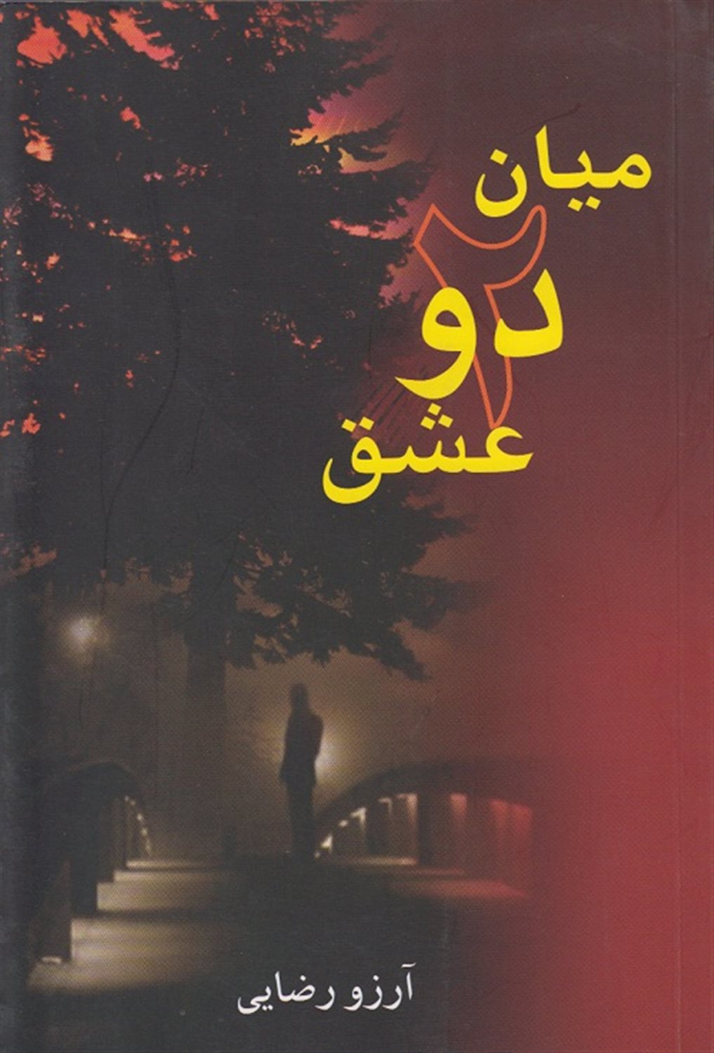 میان دو عشق