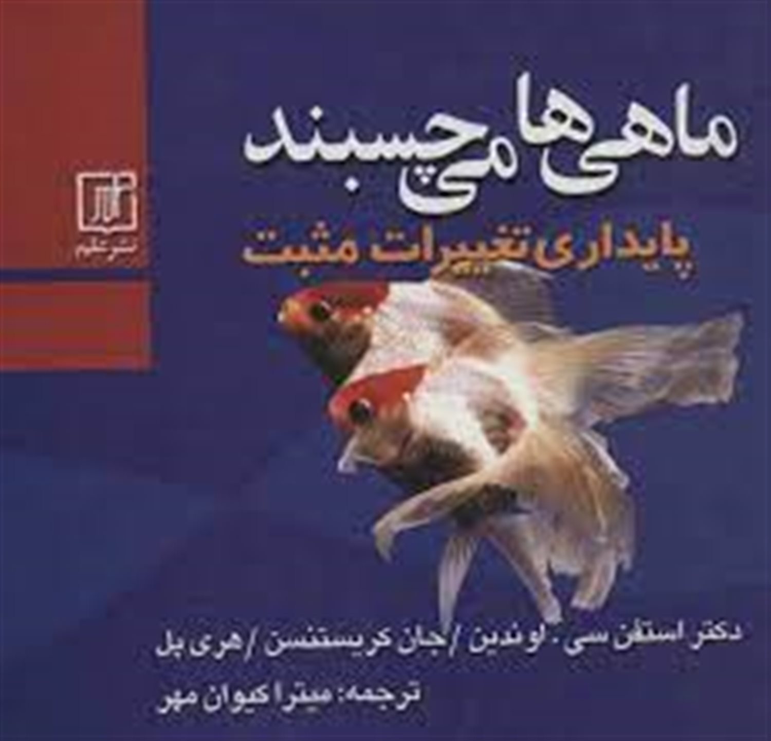 ماهی ها می چسبند