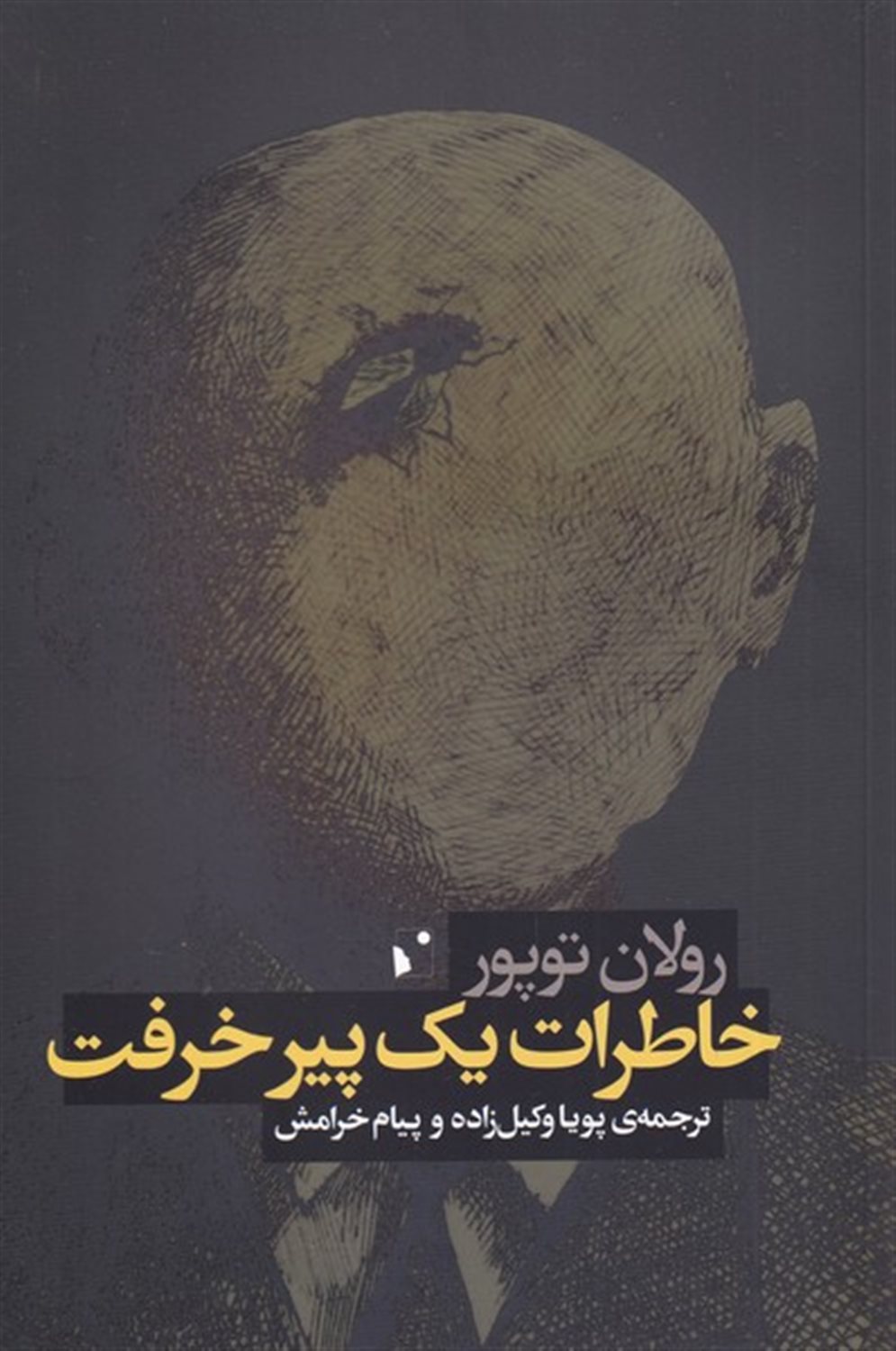 خاطرات  یک پیر خرفت