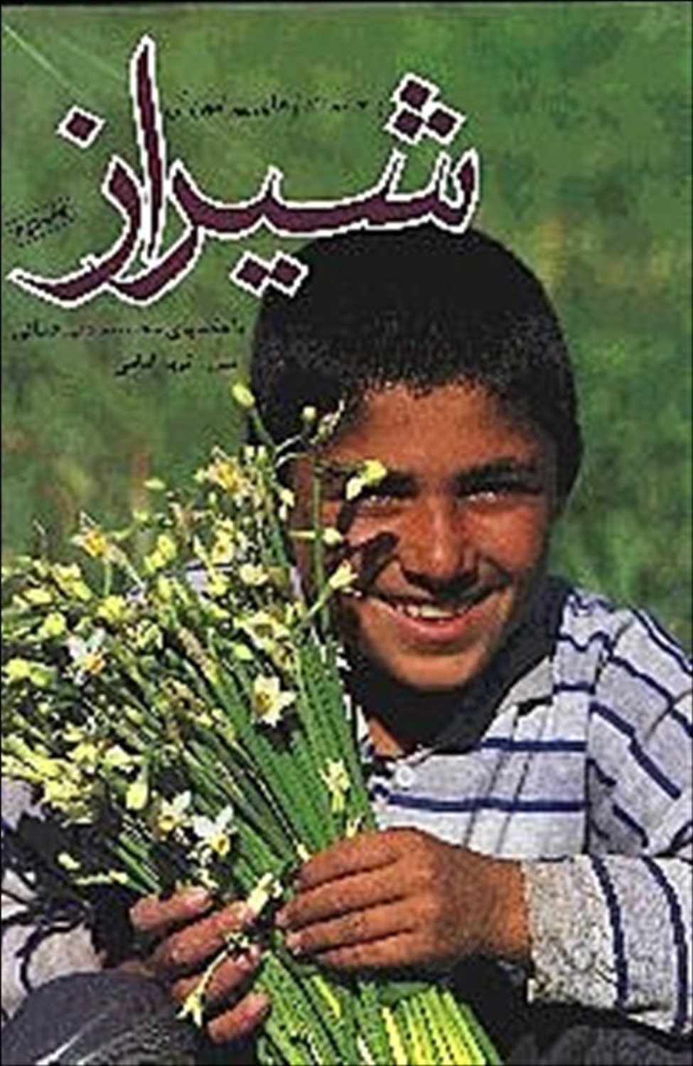 شیراز و چشم اندازهای پیرامون آن