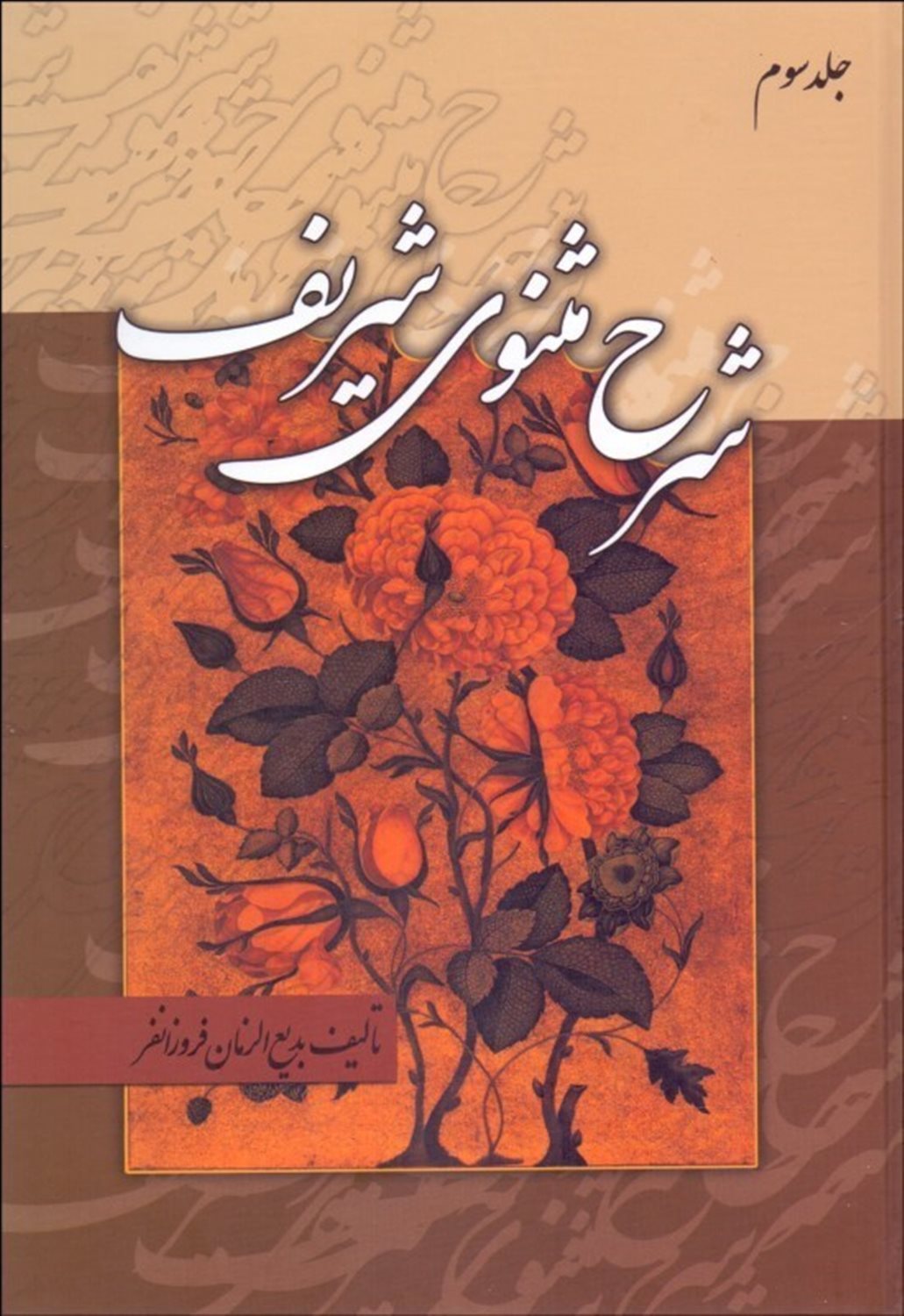 شرح مثنوی شریف
