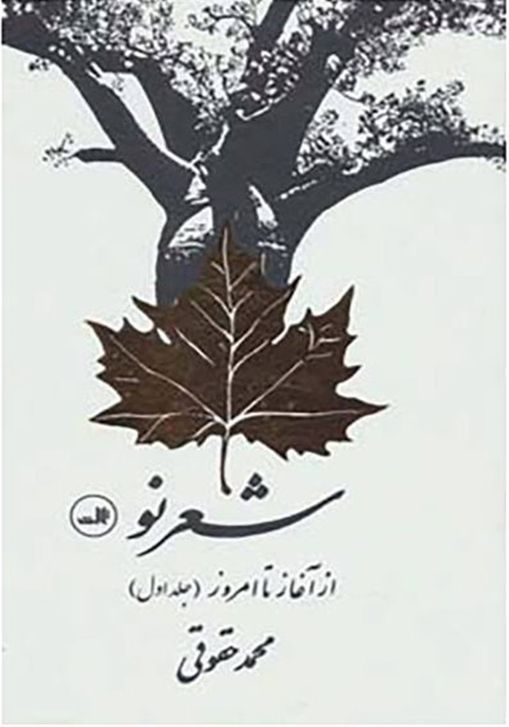 شعر نو از آغاز تا امروز (دو جلدی)