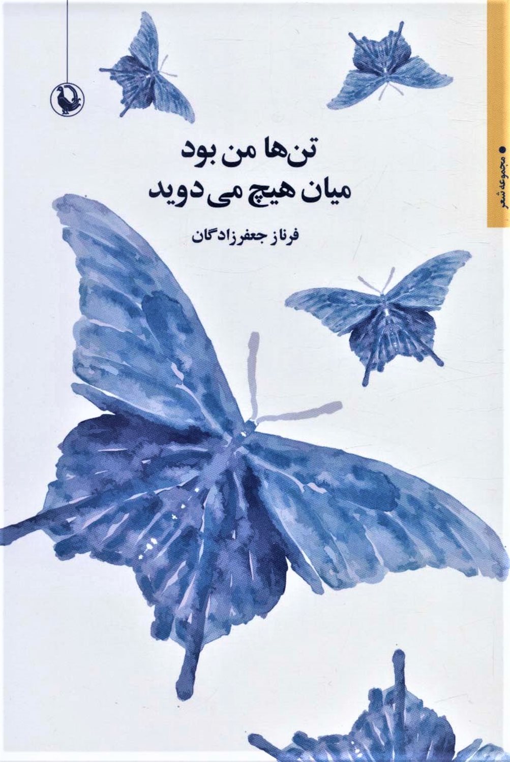 تن ها من بود میان هیچ می دوید 