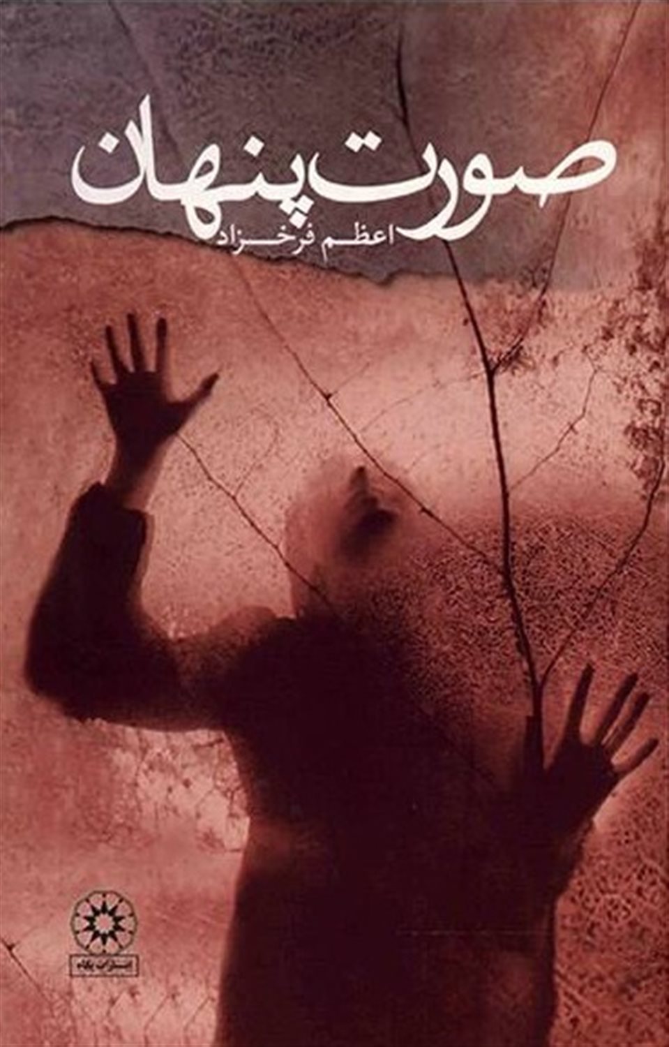 صورت پنهان