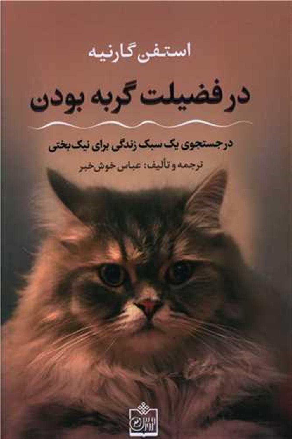 در فضیلت گربه بودن 