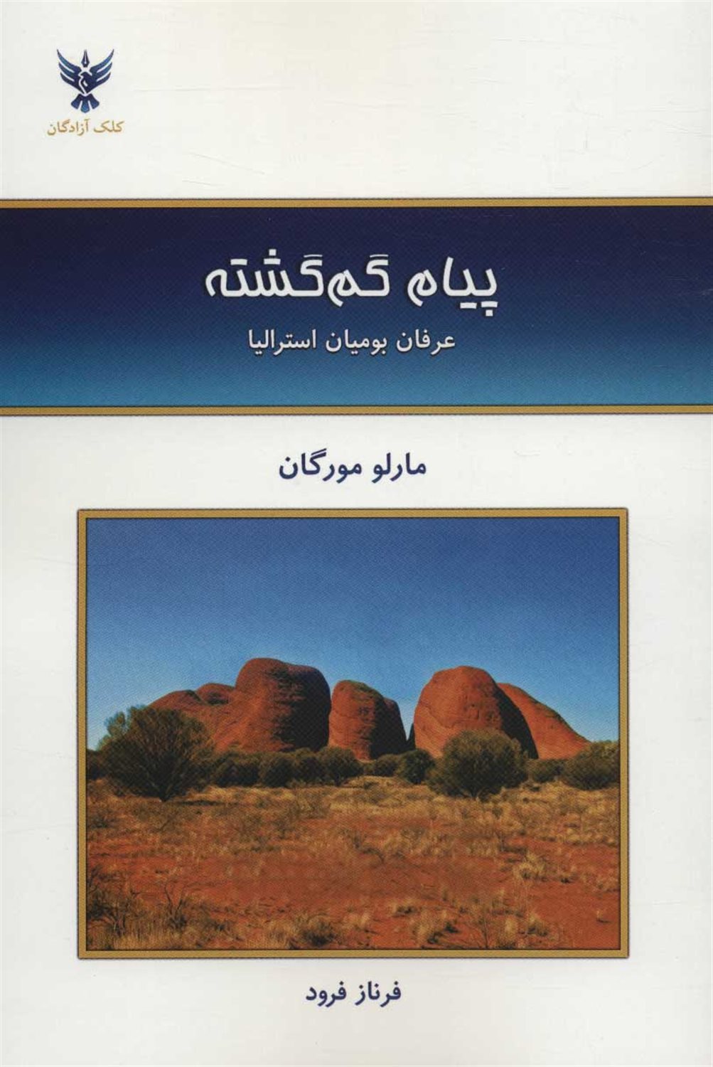 پیام گم گشته 