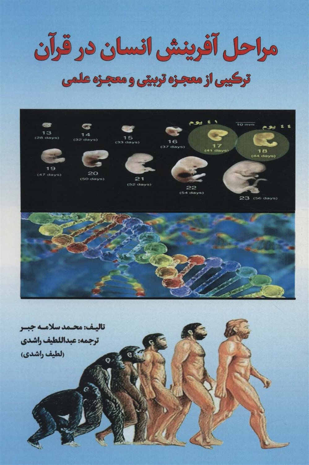 مراحل آفرینش انسان در قرآن 