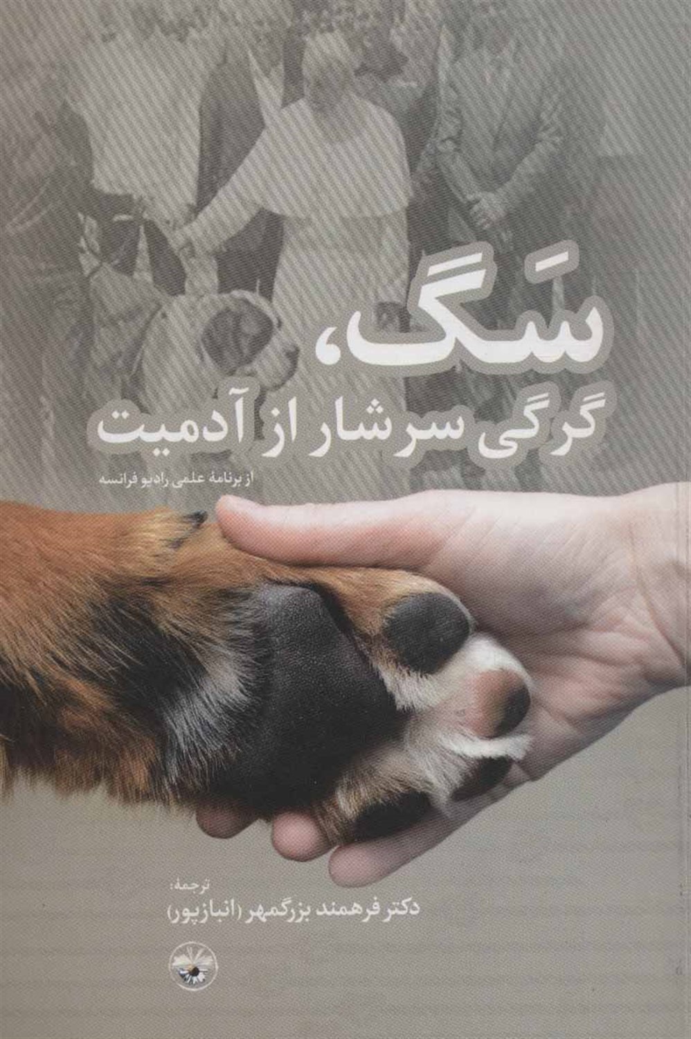 سگ،گرگی سرشار از آدمیت 