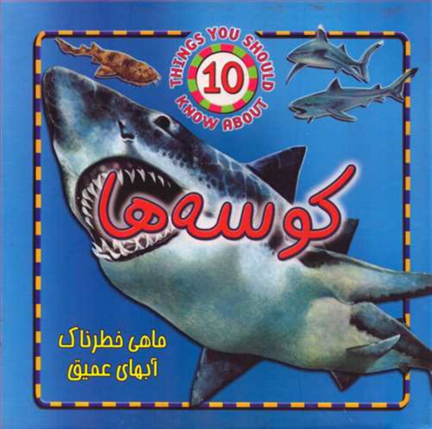 کوسه ها 