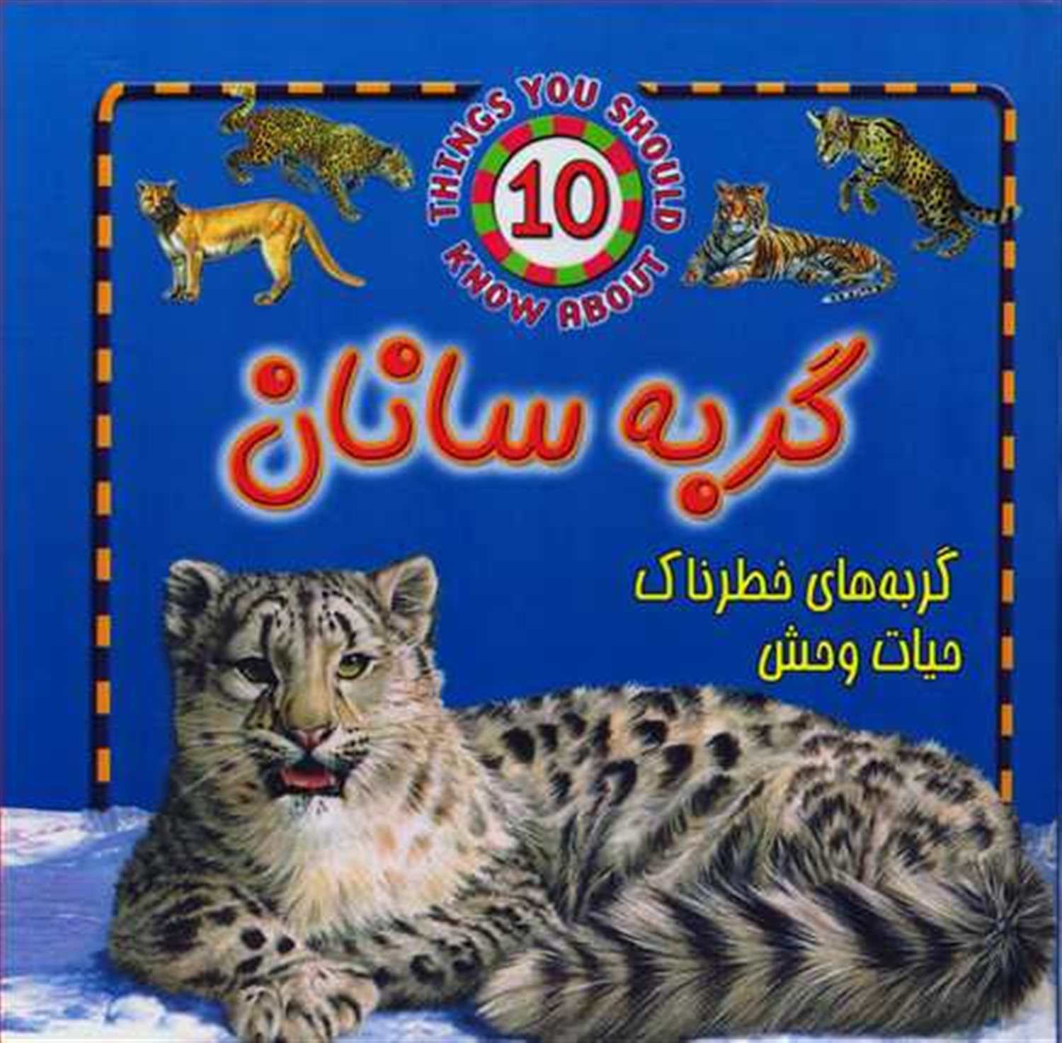 گربه‌سانان (گربه‌های خطرناک حیات وحش)