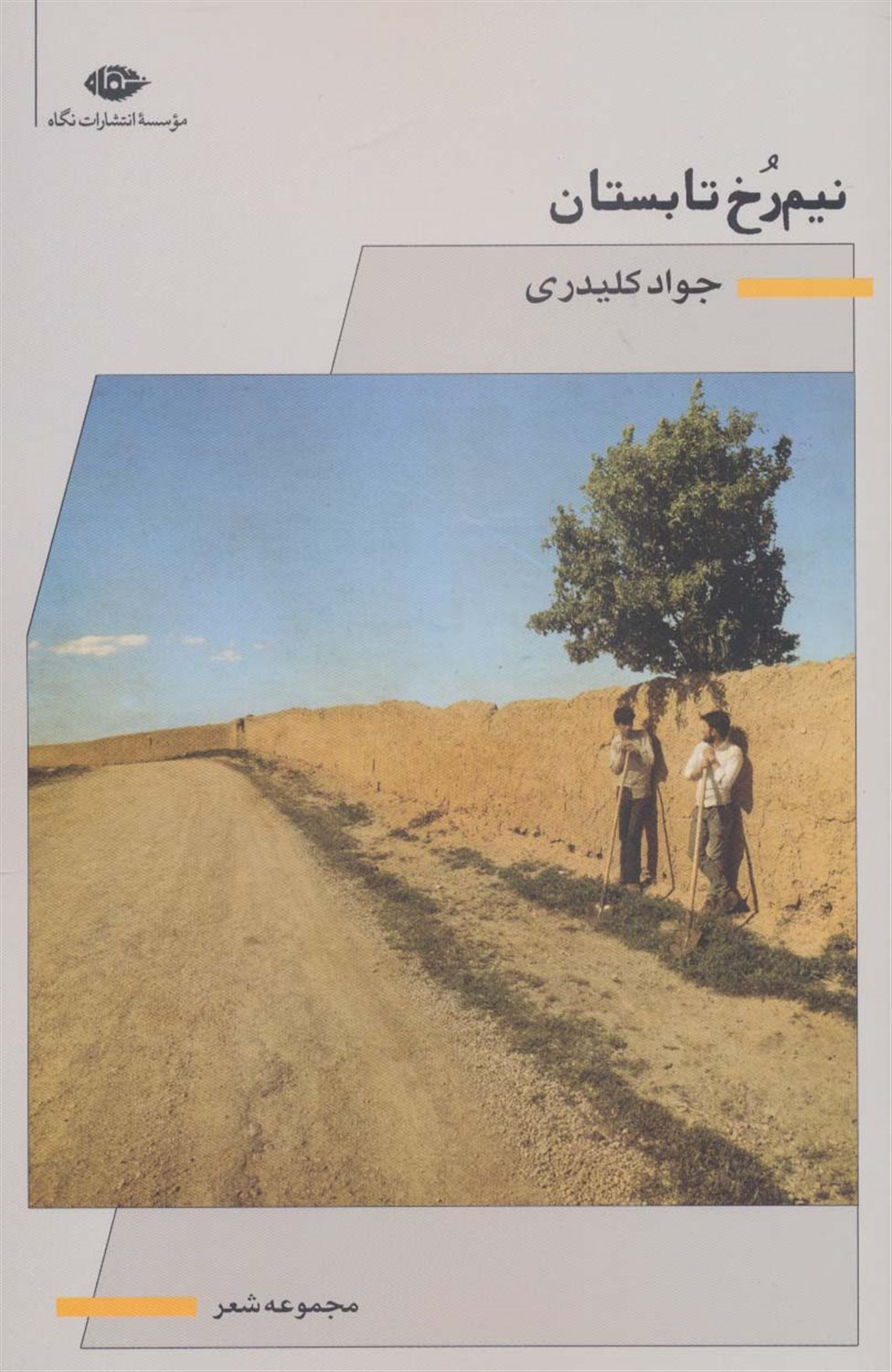 نیم‌رخ تابستان 