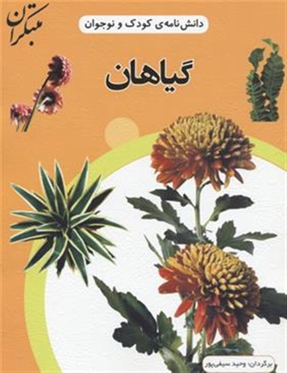 گیاهان 