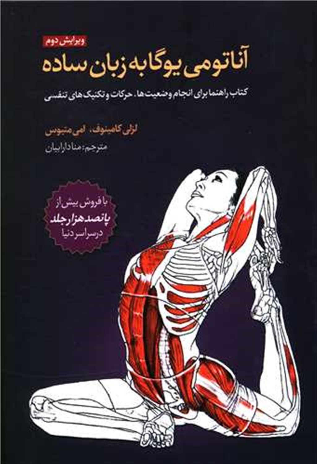 آناتومی یوگا به زبان ساده 