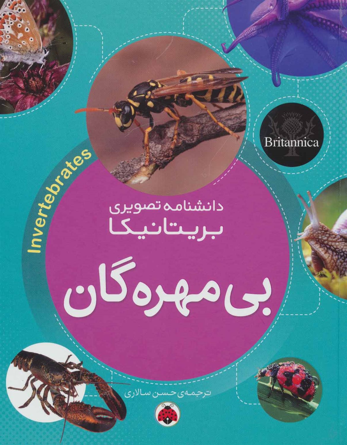بی مهره گان