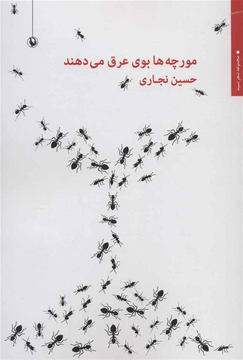 مورچه ها بوی عرق می دهند (شعر سپید)