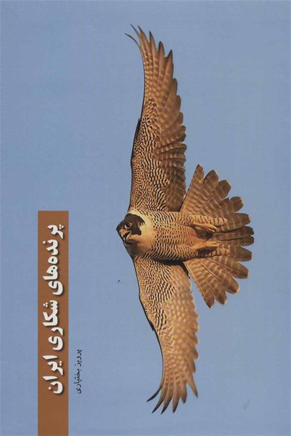 پرنده های شکاری ایران