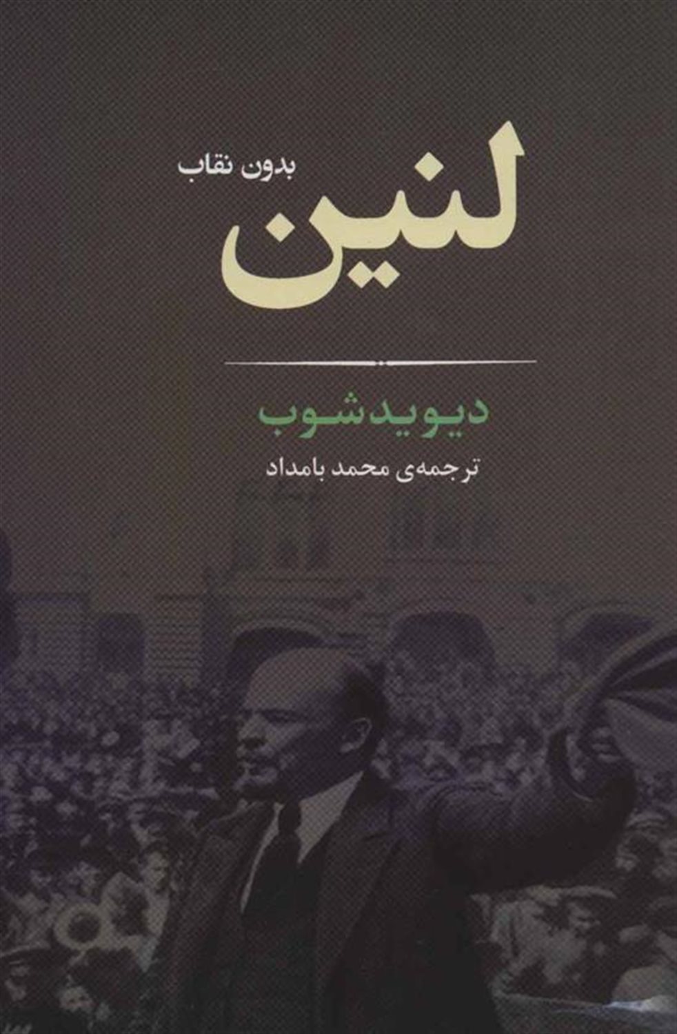 لنین بدون نقاب (زندگی نامه 2)