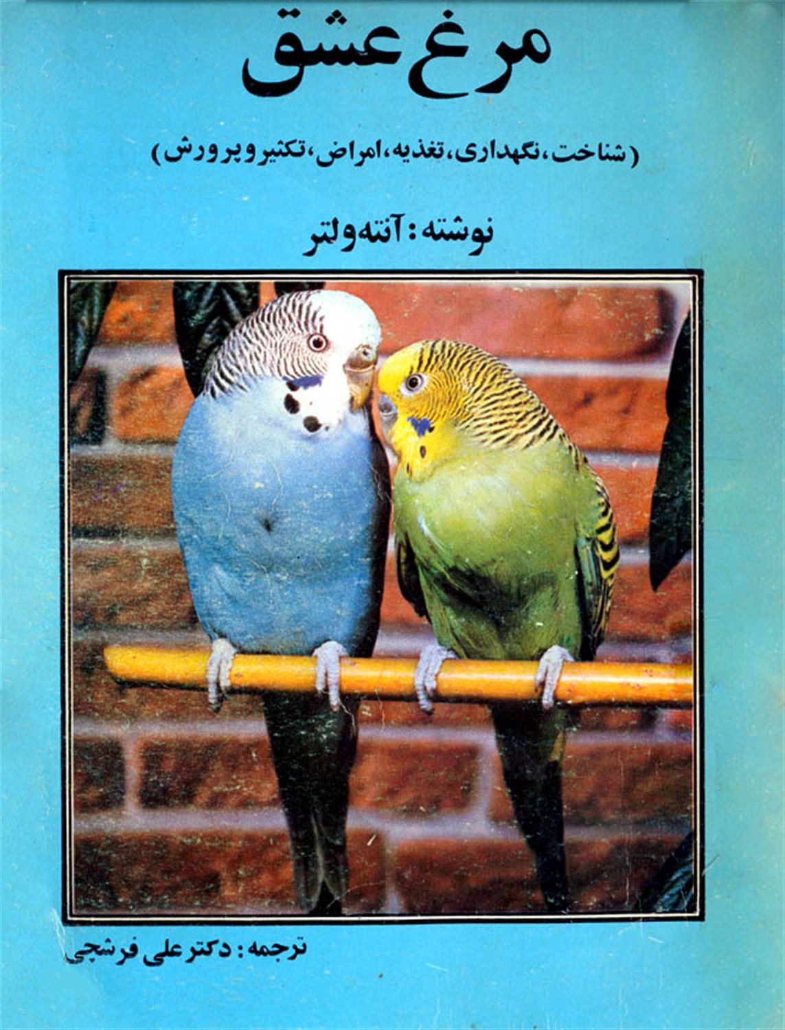 مرغ عشق (شناخت،نگهداری،تغذییه،امراض،تکثیر و پرورش)