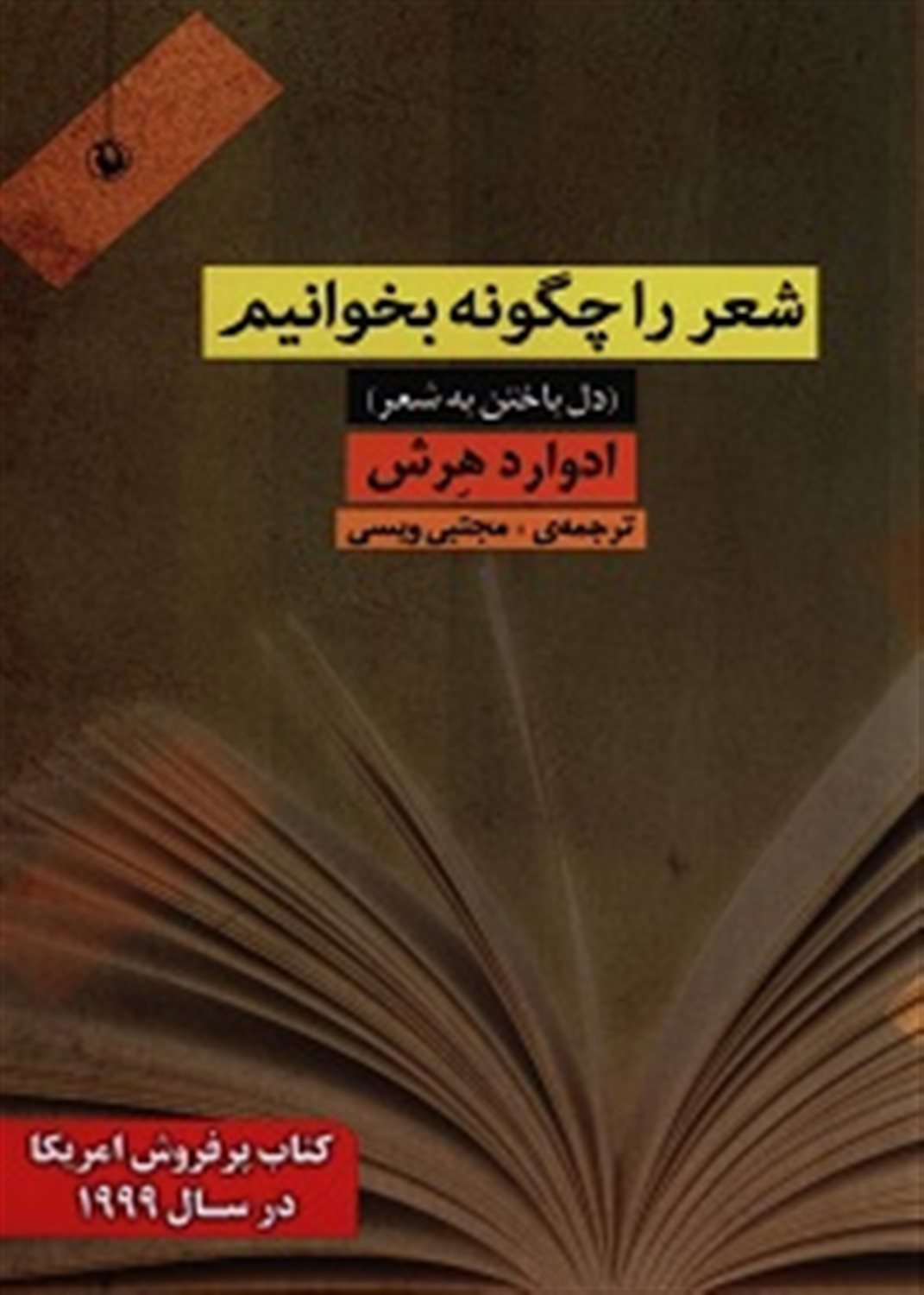 شعر را چگونه بخوانیم (دل باختن به شعر)