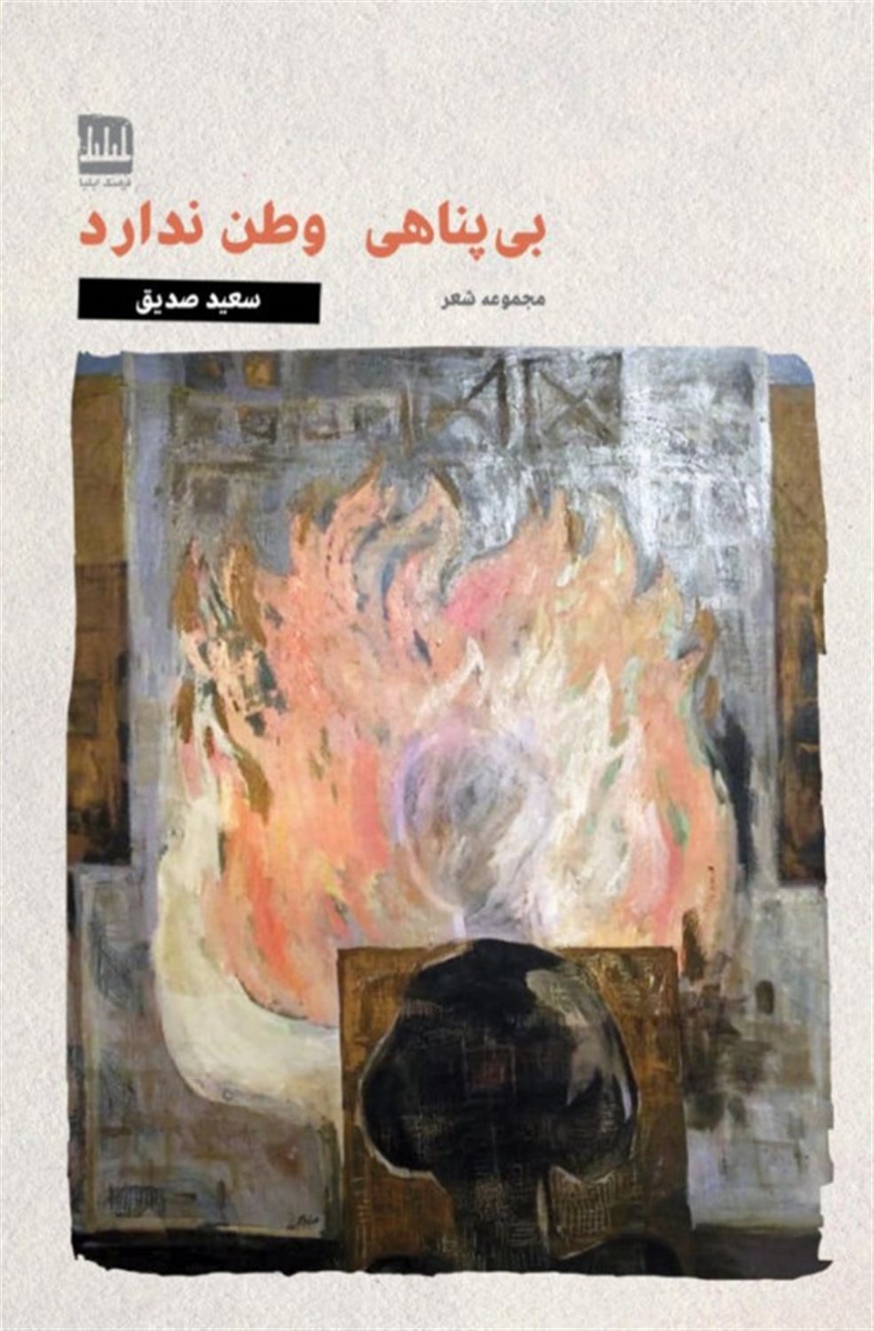 بی‌پناهی وطن ندارد