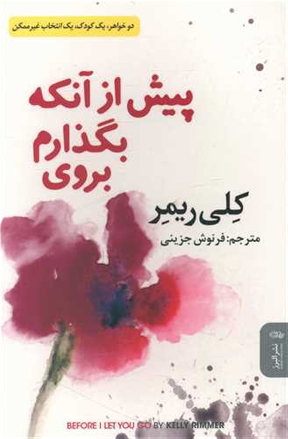 پیش از آنکه بگذارم بروی 