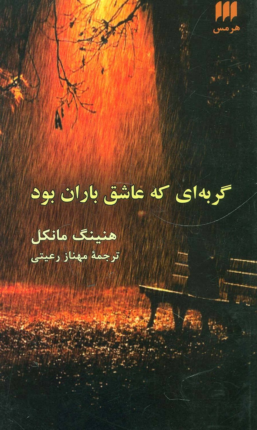 گربه ای که عاشق باران بود 
