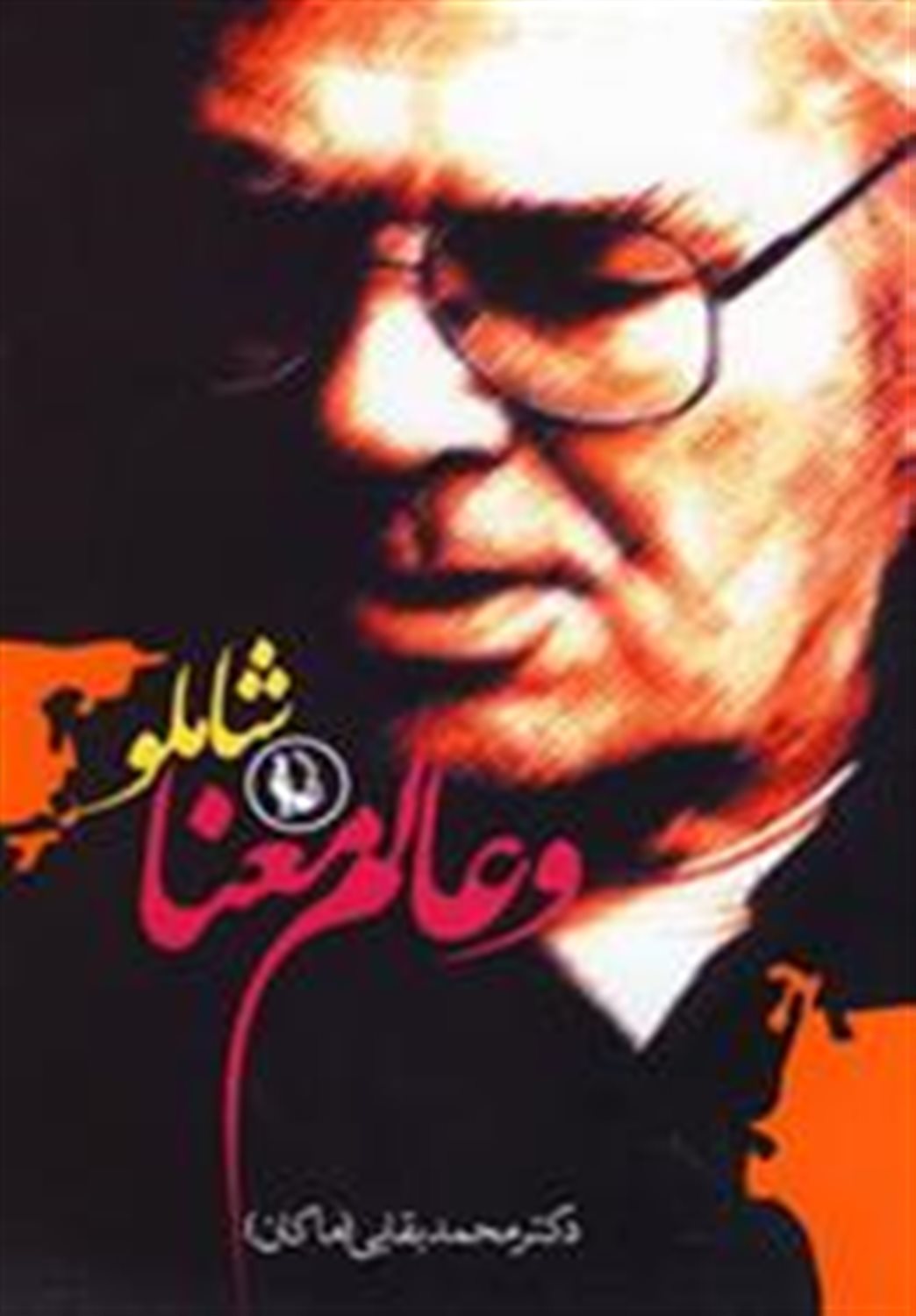 شاملو و عالم معنا 