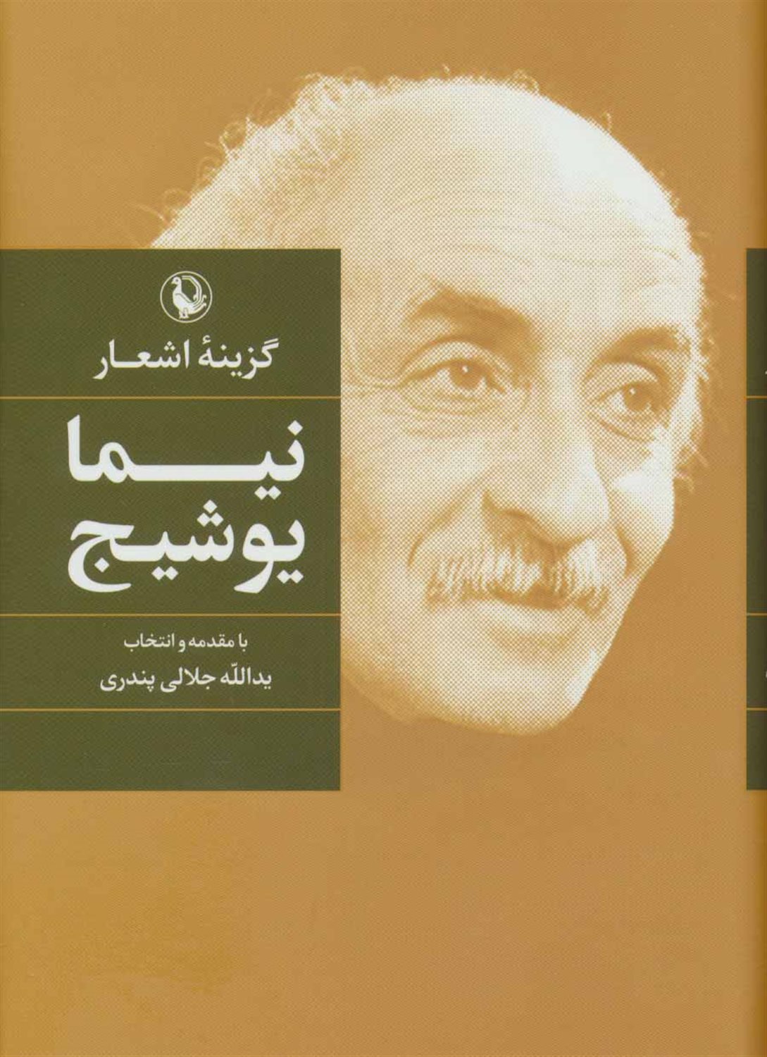 گزینه اشعار: نیما یوشیج