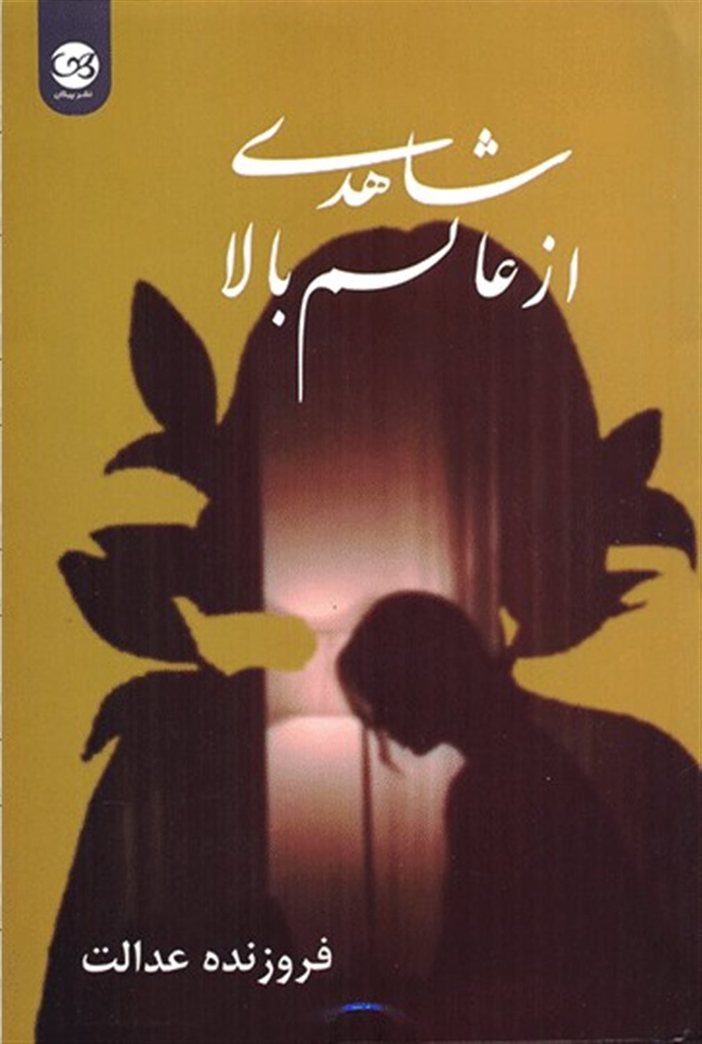 شاهدی از عالم بالا 
