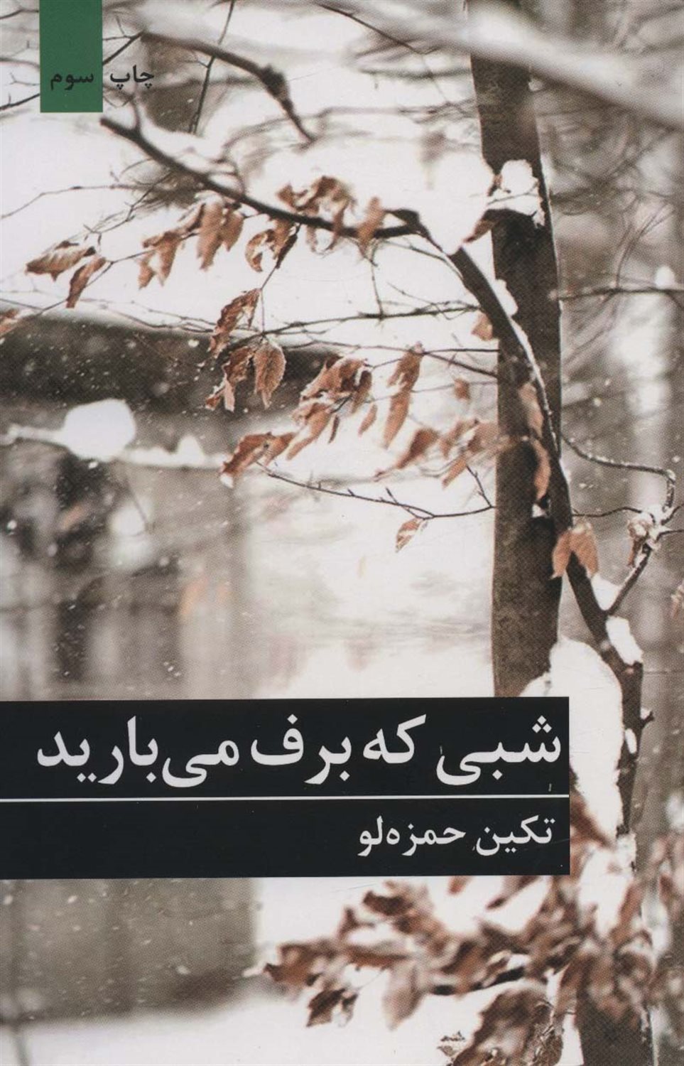 شبی که برف می بارید