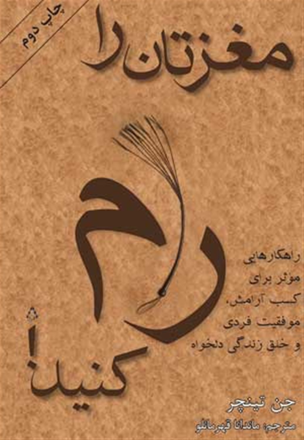 مغزتان را رام کنید!: راهکارهایی مؤثر برای آرامش، موفقیت فردی و خلق زندگی دلخواهتان