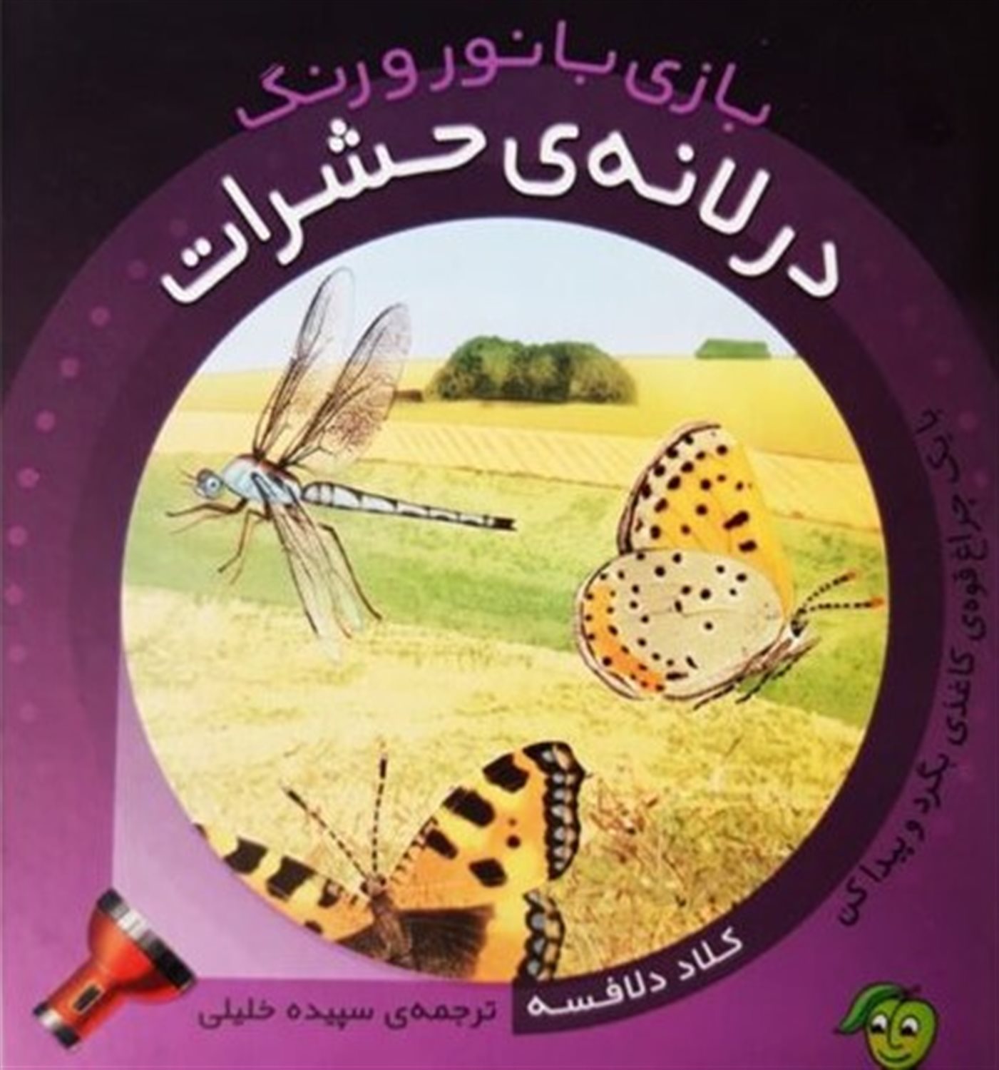 بازی با نور و رنگ در لانه‌ی حشرات
