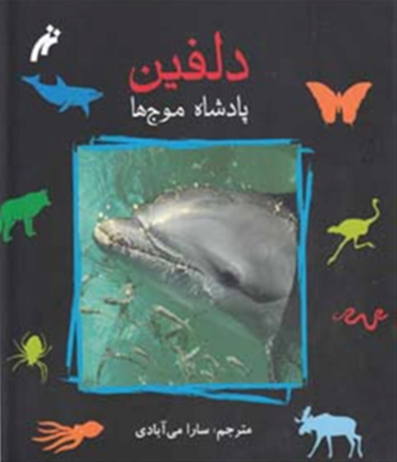 دلفین پادشاه موج ها