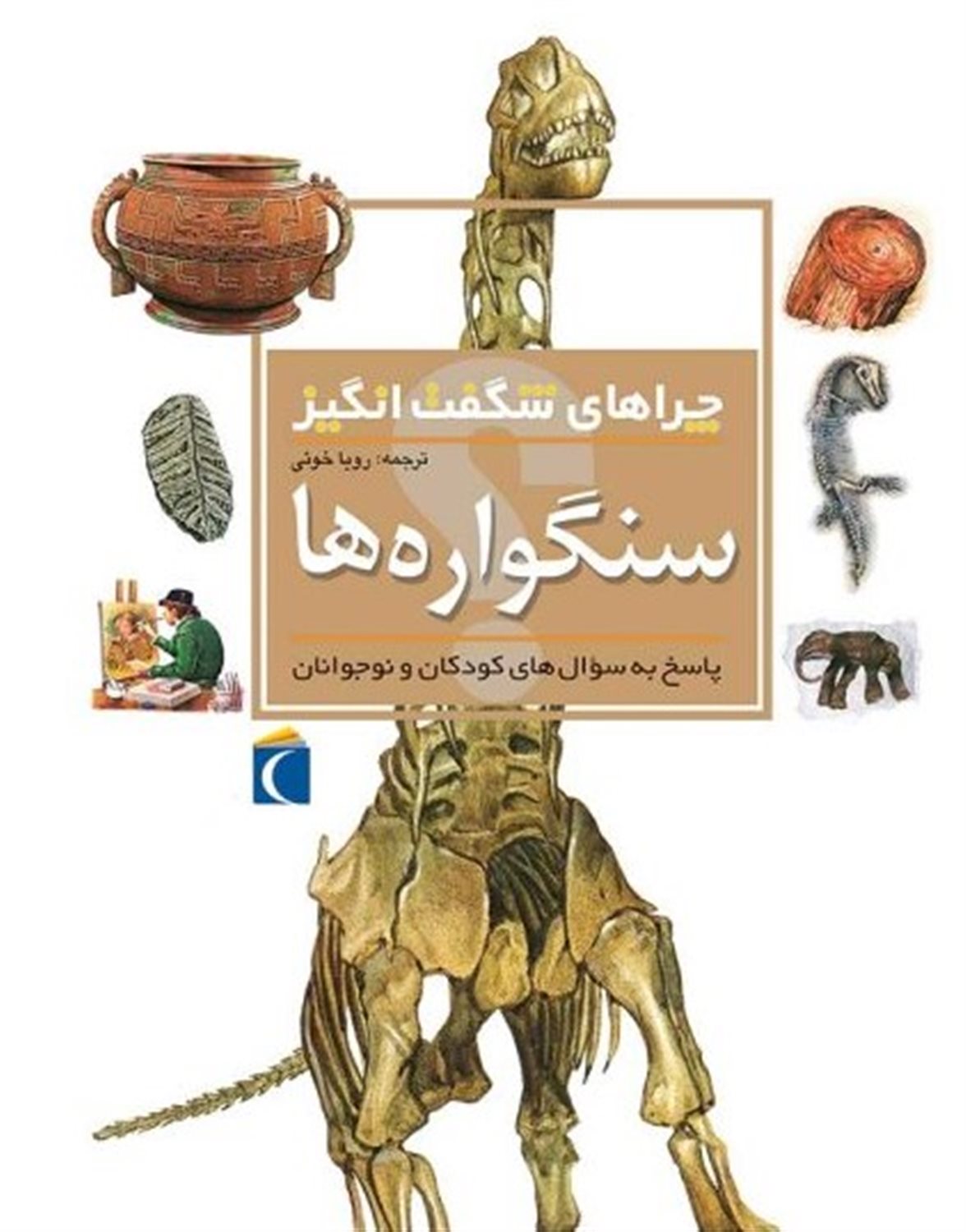 چراهای شگفت‌انگیز: سنگواره‌ها