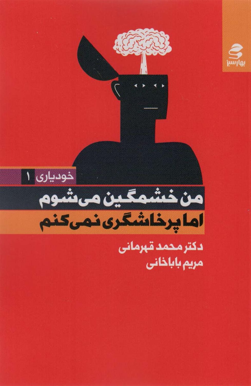 من خشمگین می شوم اما پرخاشگری نمی کنم 