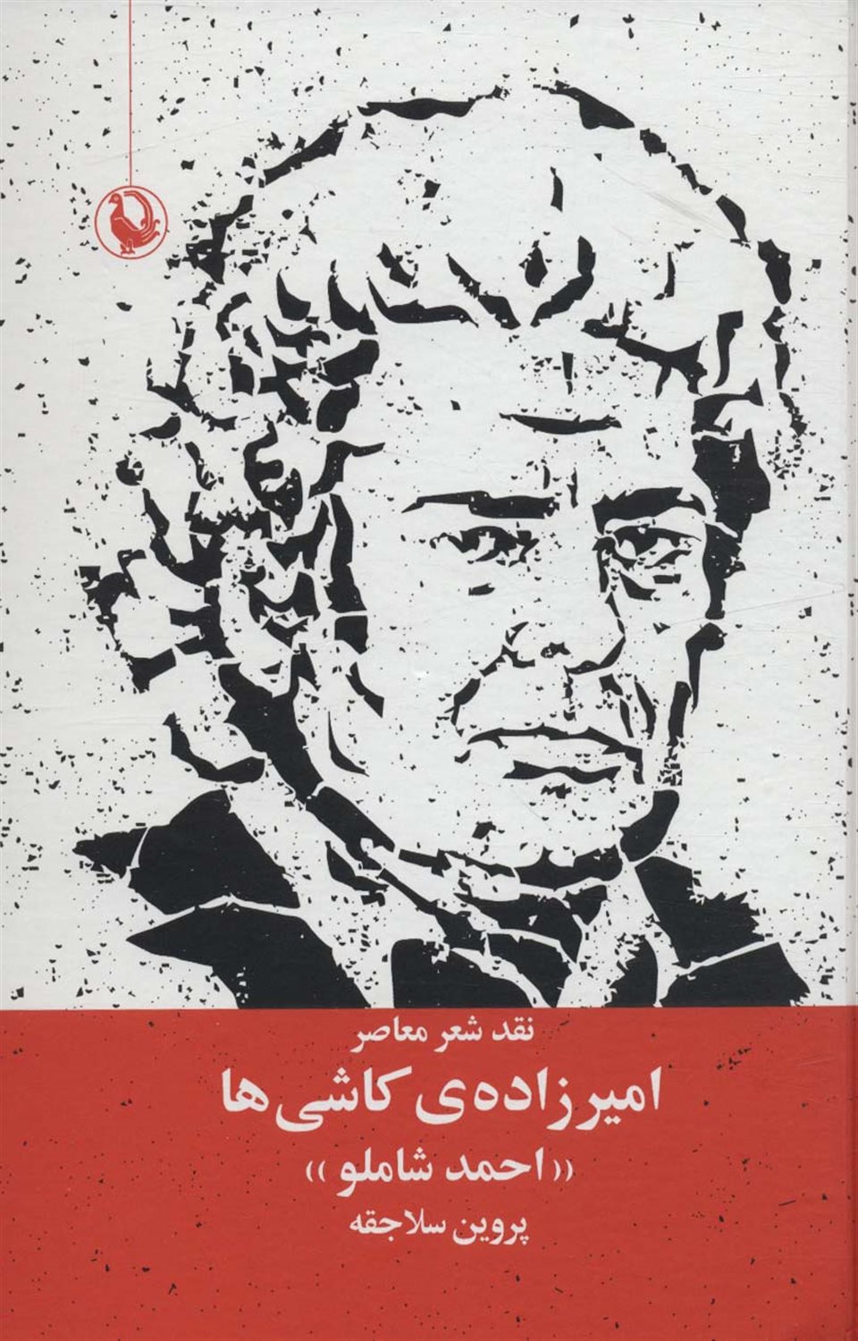 امیرزاده ی کاشی ها 