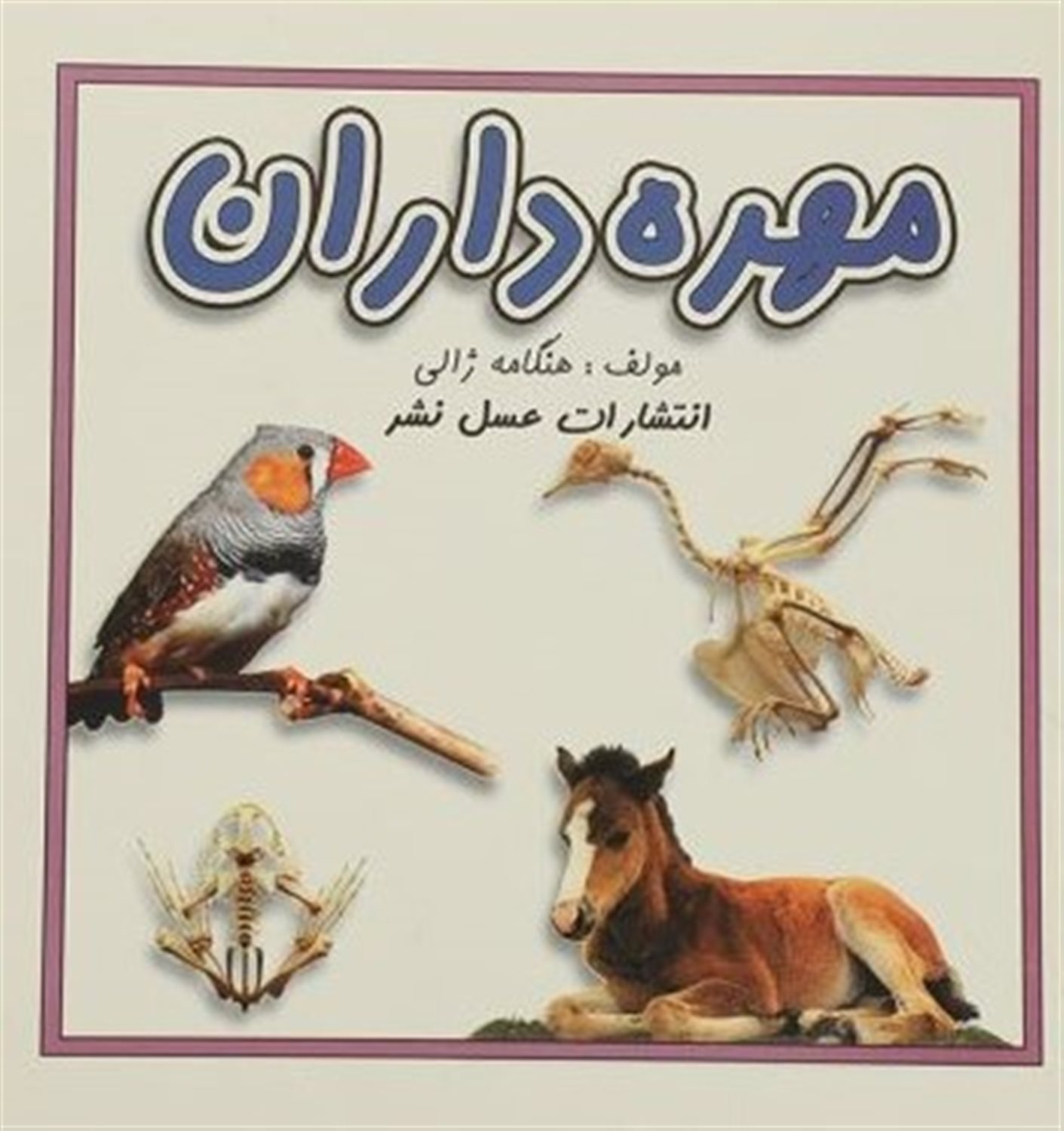 مهره داران