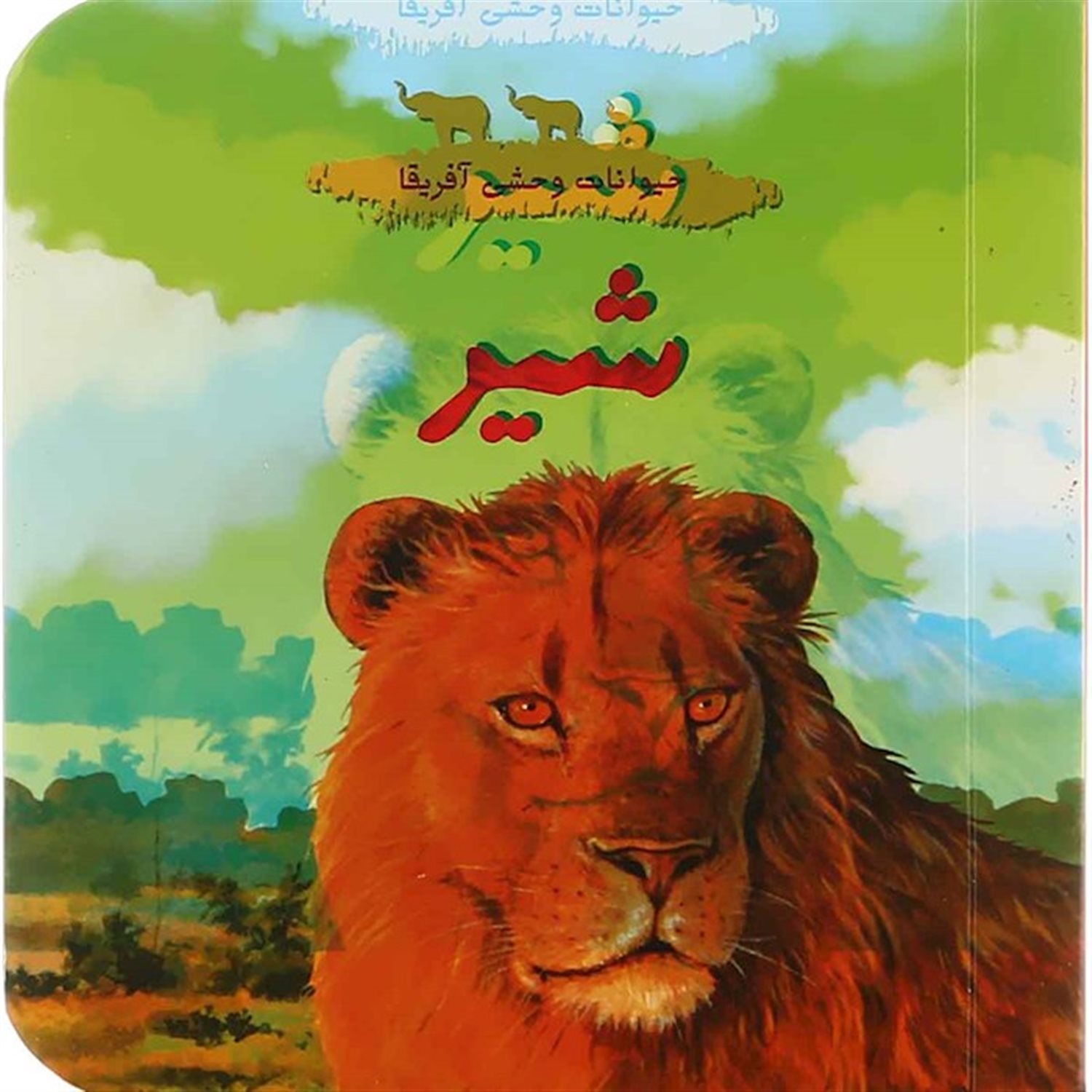 حیوانات وحشی آفریقا (شیر)