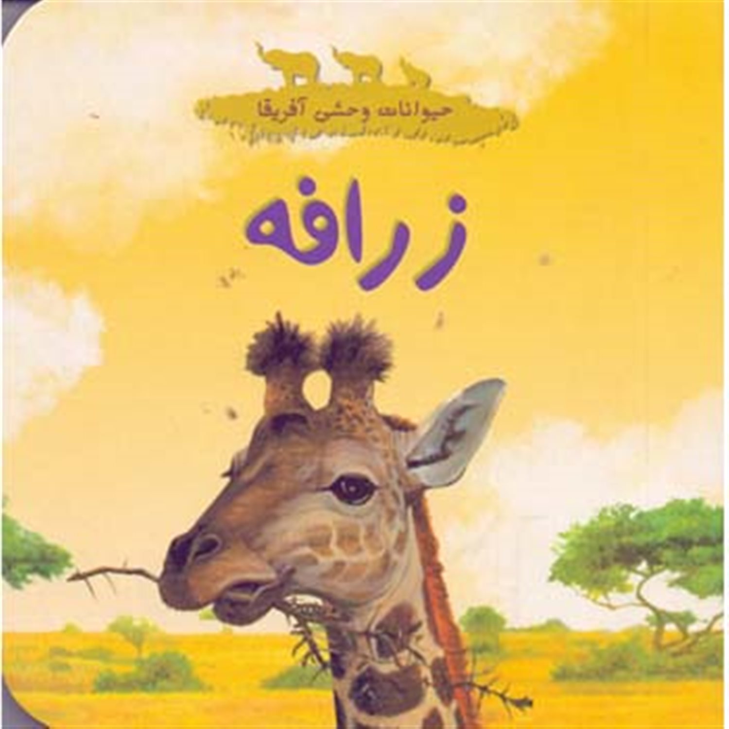 حیوانات وحشی آفریقا (زرافه)