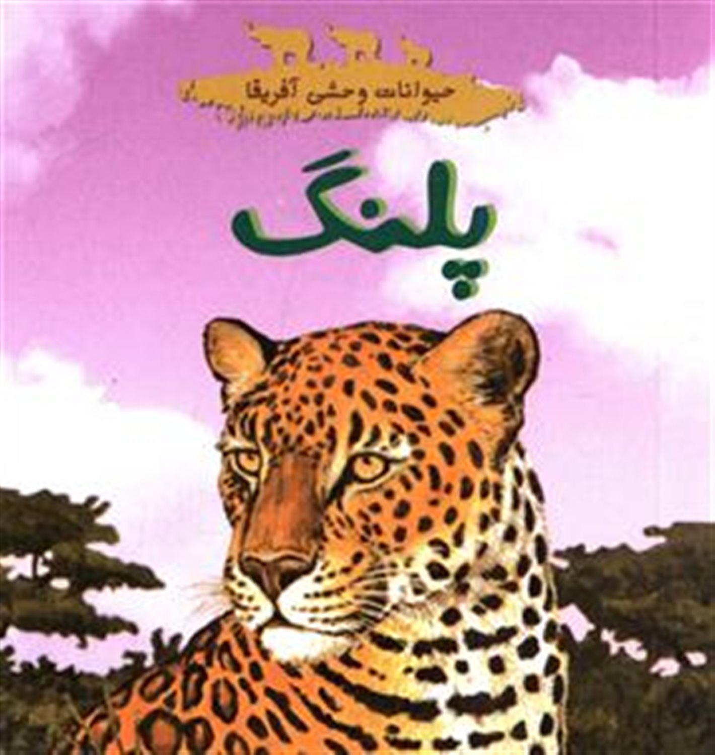حیوانات وحشی آفریقا (پلنگ)