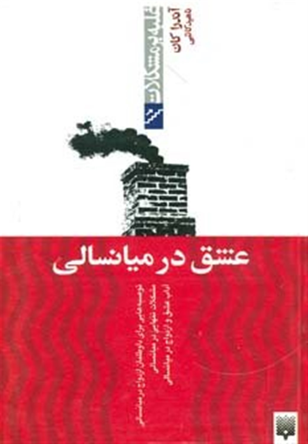 غلبه بر مشکلات (عشق در میانسالی)