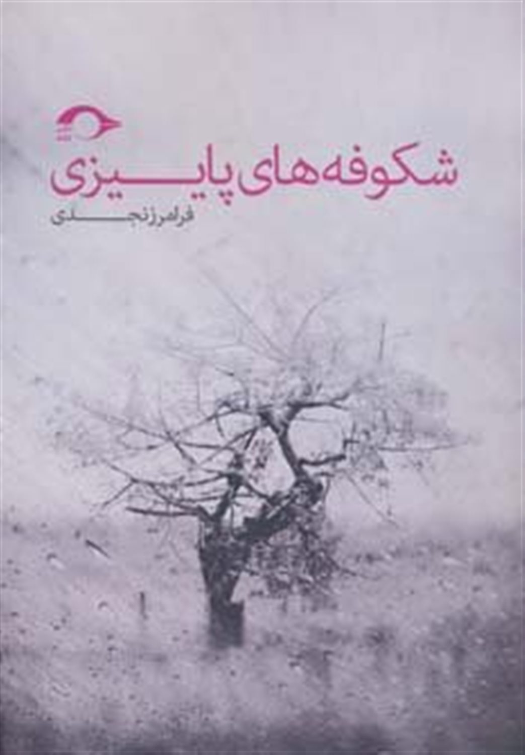 شکوفه های پاییزی