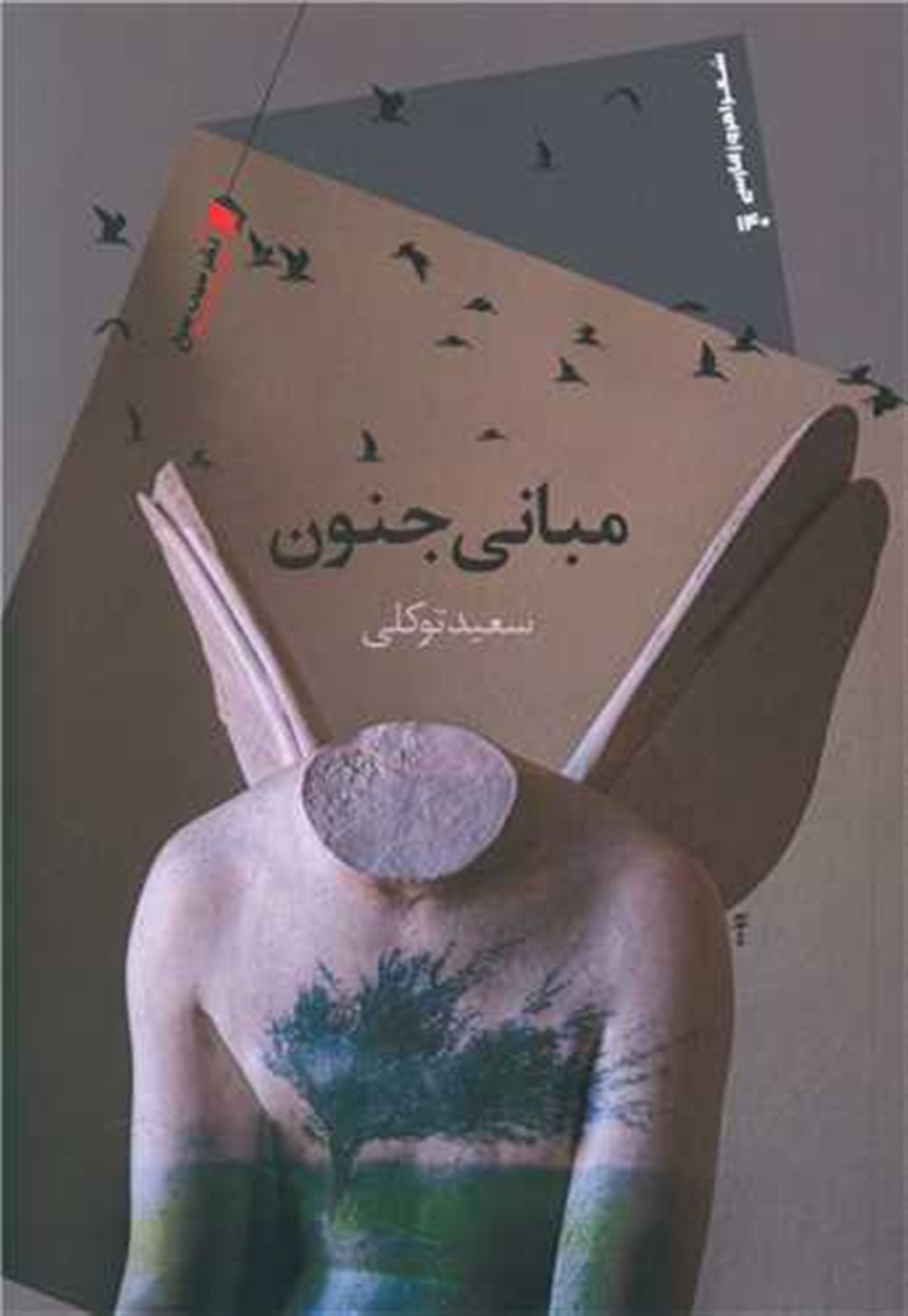 مبانی جنون