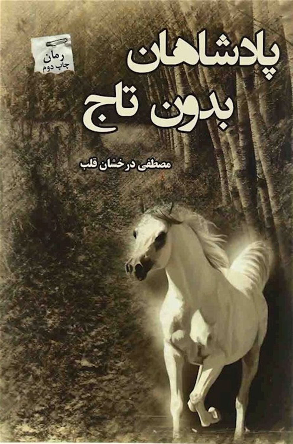 پادشاهان بدون تاج