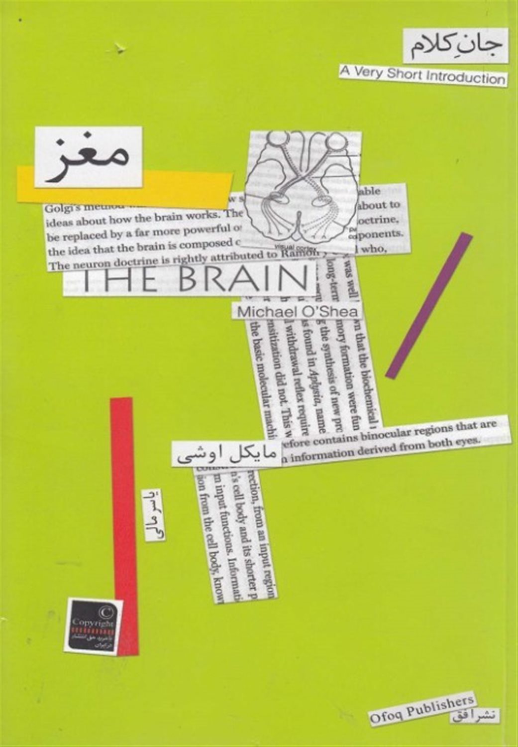 جان کلام 2 (مغز)