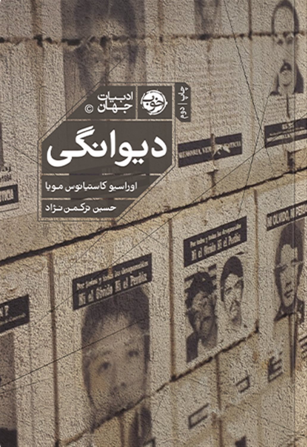 دیوانگی
