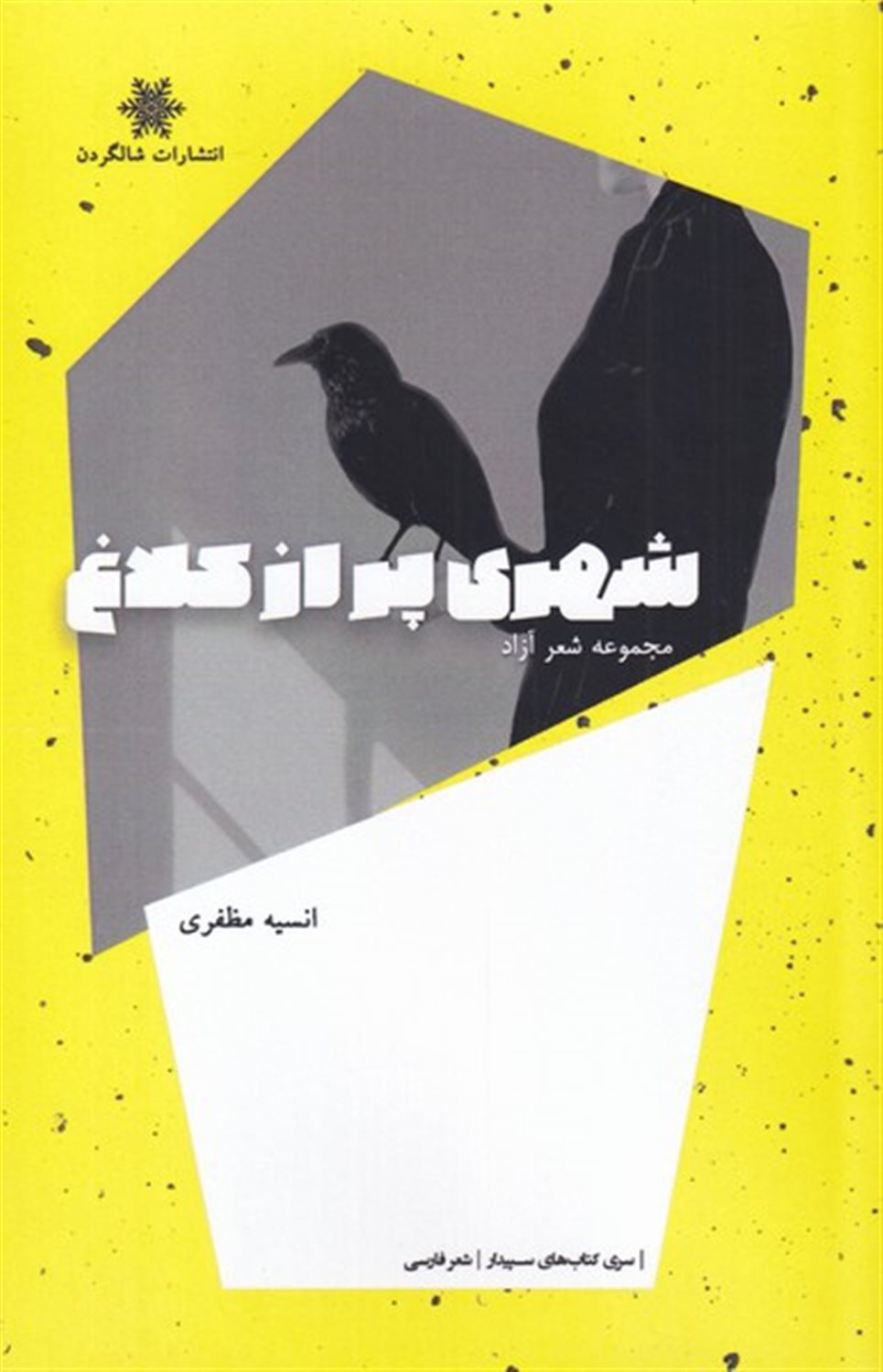 شهری پر از کلاغ